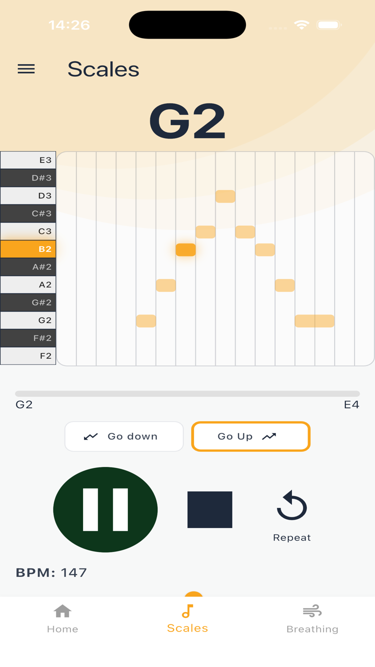 MIDI Note Grid during playback